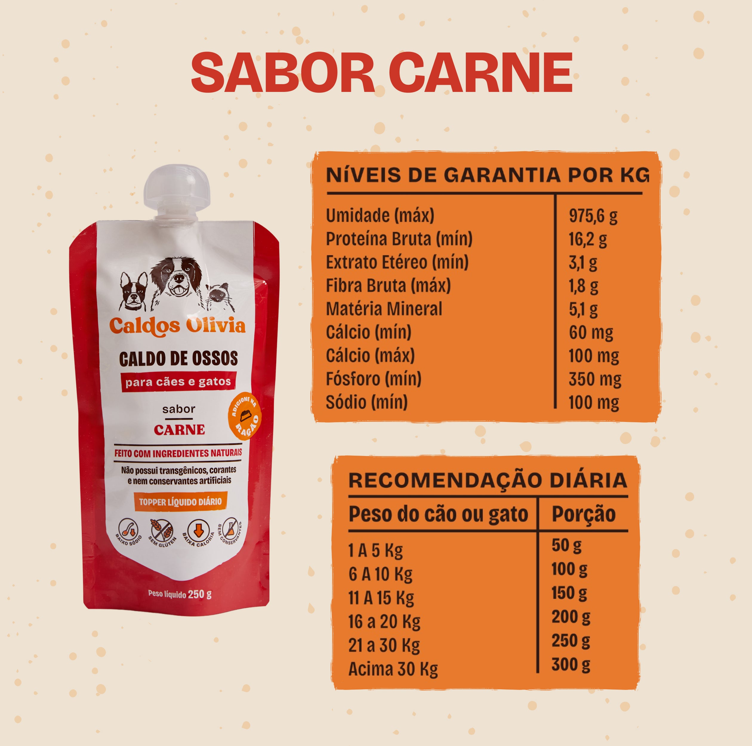 Sabor Carne