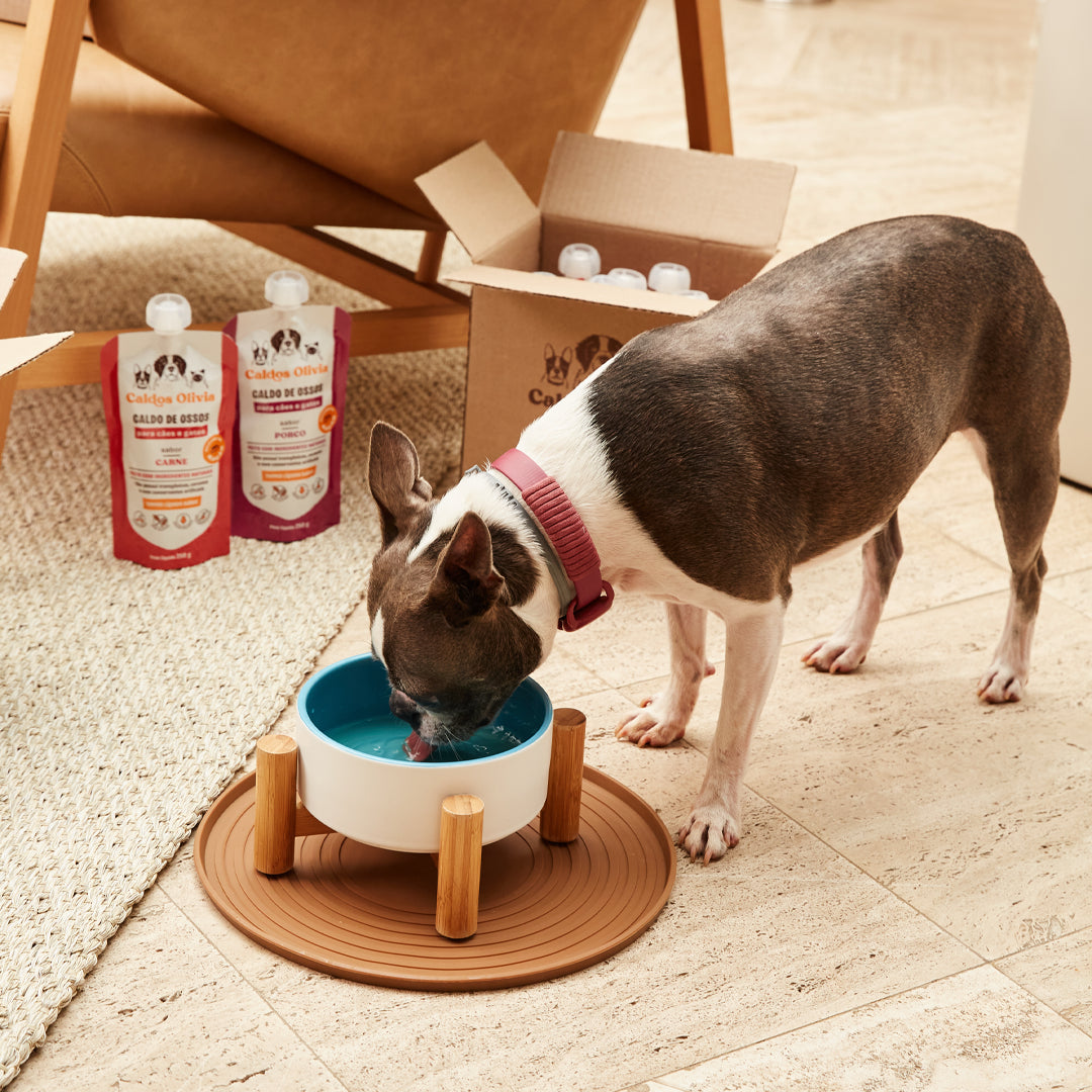 Os Caldos de Ossos são rico em colágeno, glucosamina, condroitina e outros compostos que ajudam a manter as articulações fortes e saudáveis.