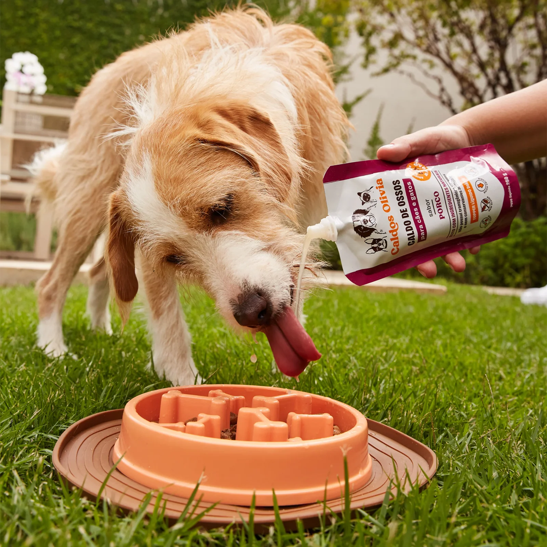 Os Caldos de Ossos são rico em colágeno, glucosamina, condroitina e outros compostos que ajudam a manter as articulações fortes e saudáveis.